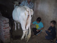 Boschrand Guest Farm Accommodation in Gariep Dam