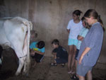 Boschrand Guest Farm Accommodation in Gariep Dam